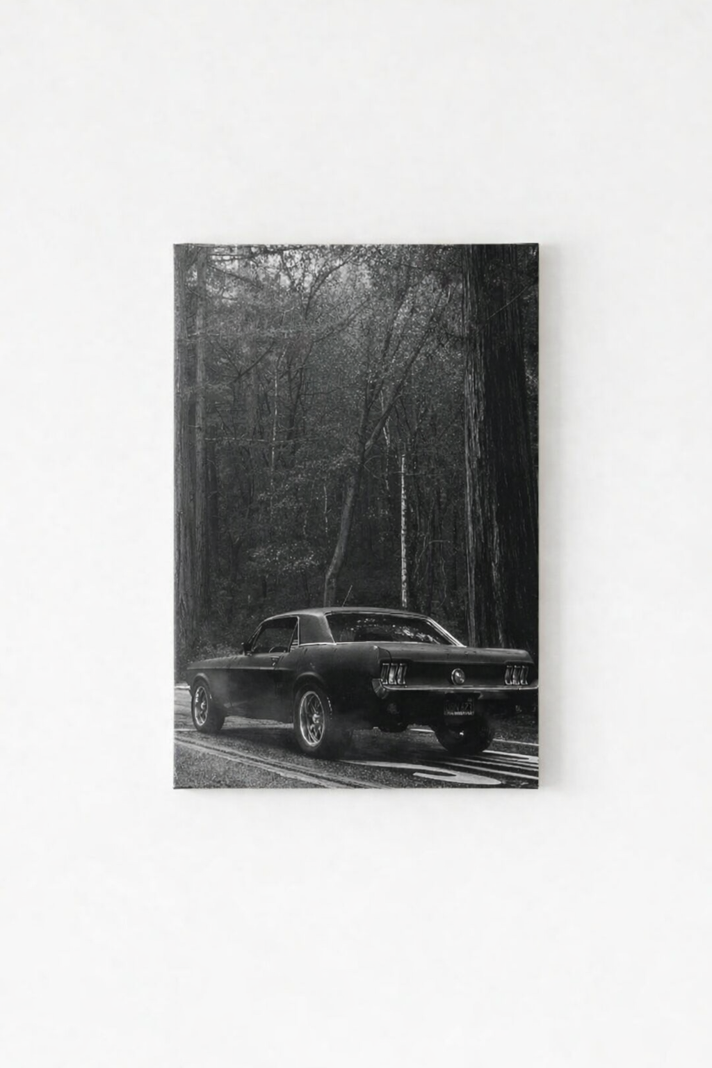 Ford Mustang velvet wall tapestry – moody black and white Mustang in forest setting flat product view