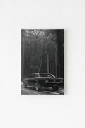Ford Mustang velvet wall tapestry – moody black and white Mustang in forest setting flat product view