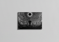 Berserk Guts Eclipse velvet wall tapestry – Guts standing against the black sun eclipse surrounded by chaos in stark monochrome Miura linework
